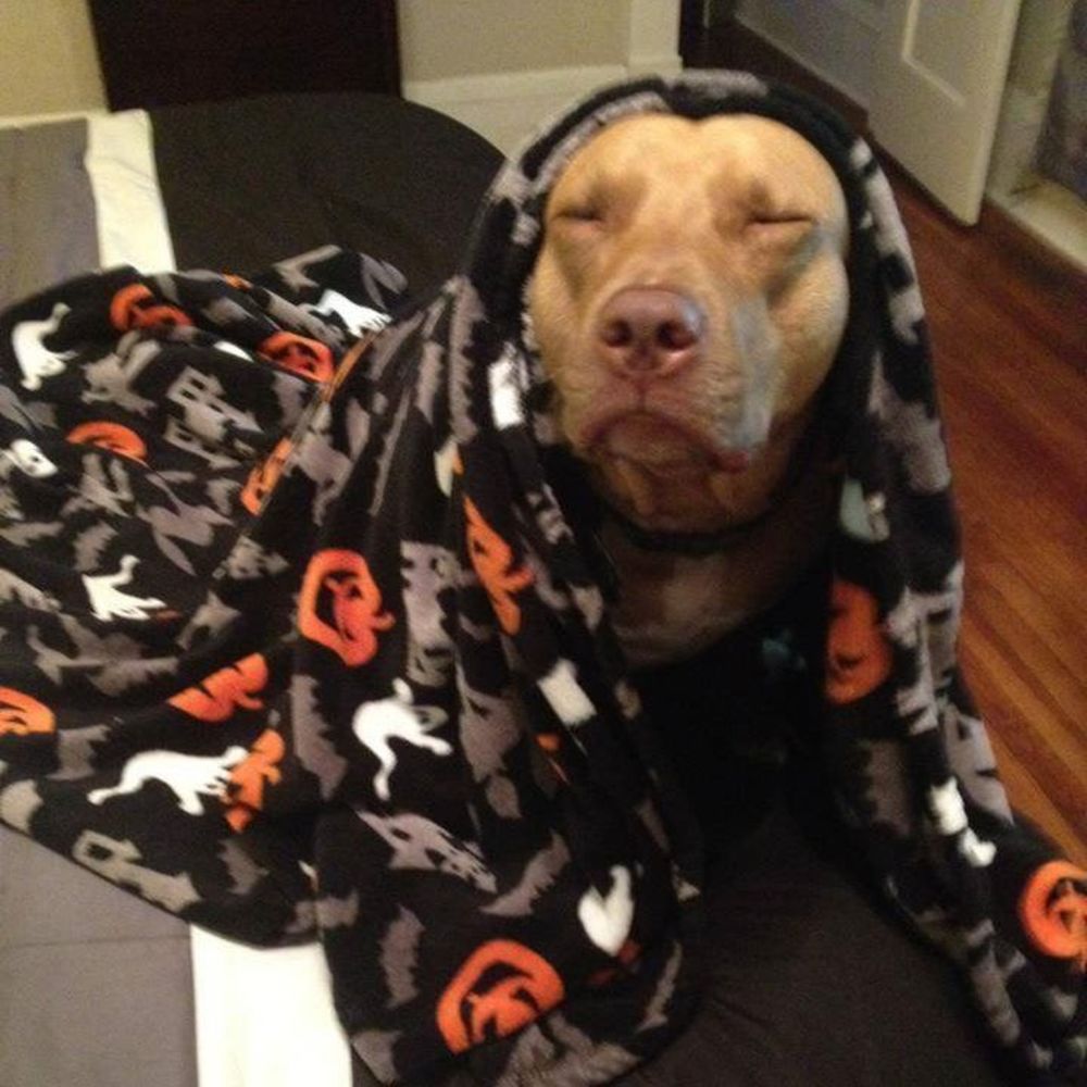 Meet your Posher, Mystry